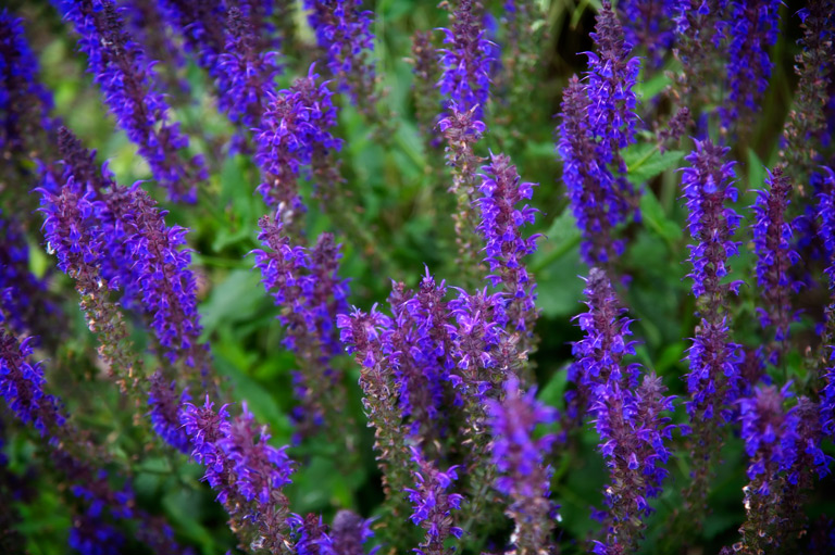 1006 - Rising Resonance