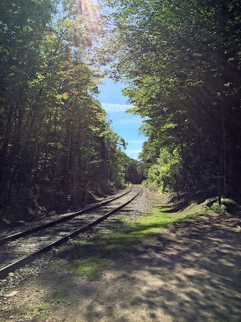 3164 - Arethusa Crossing