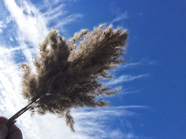 3046 - As Above, So Below