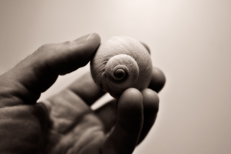 391 - Scale of the Scroll