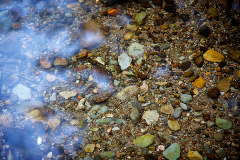 1157 - Scattered and Submerged