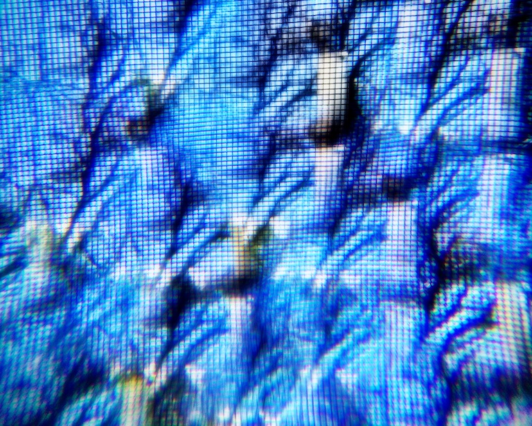 2922 - Shimmering Beyond (Bee's Eye 1)