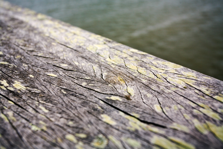 640 - Sheaves By the Sea