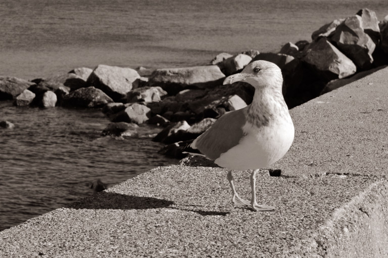 452 - Slowly I Turned...