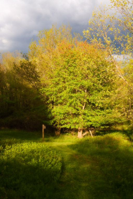 607 - Sun Breaks Through