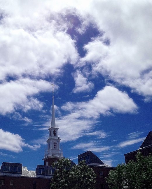 2938 - Sentry of The Yard