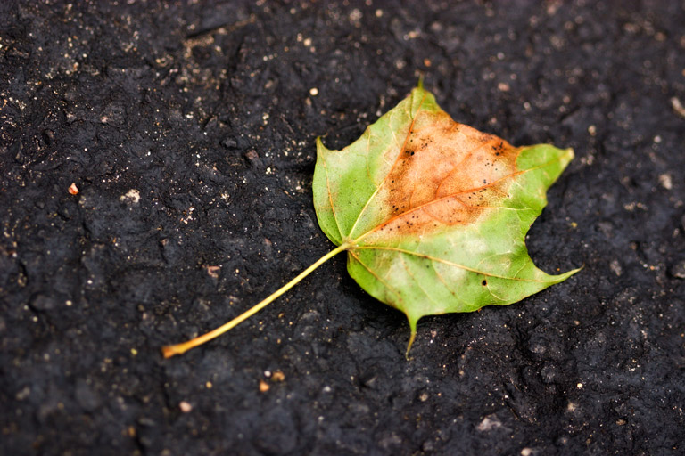 370 - And So It Begins