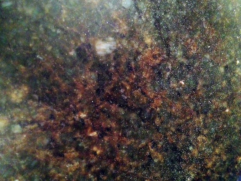 2942 - Speckled Daydream