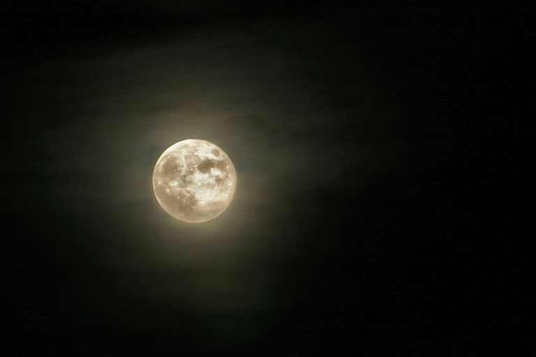 41 - Spooky Sentinel