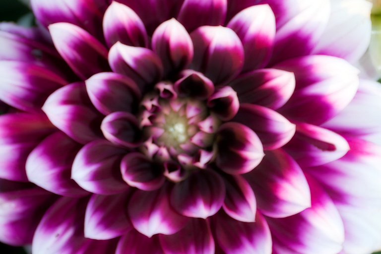 405 - Seasonal Rewind