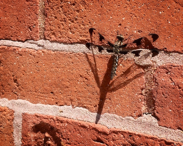 3088 - Seasonal Sign