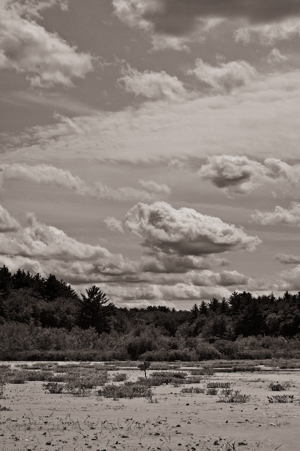 1110 - Stony Brook Stillness
