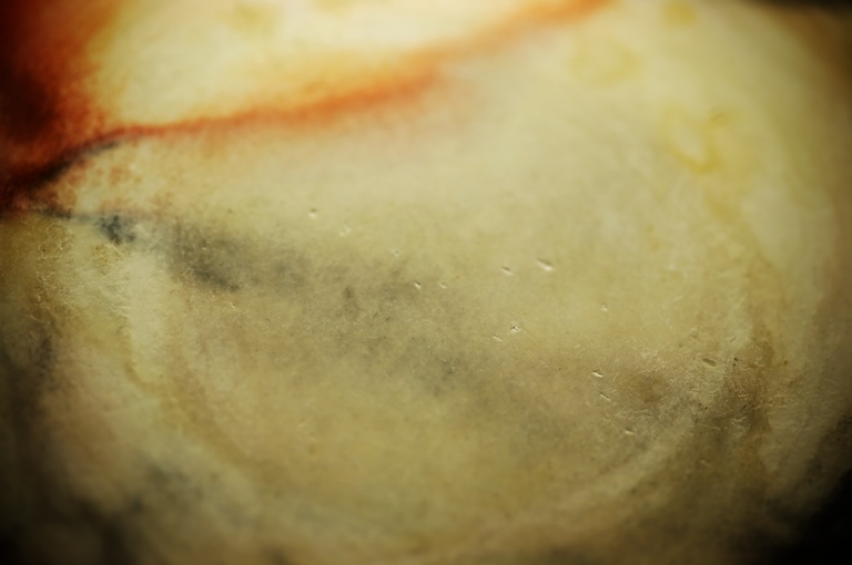 1300 - Stone Coast(er)