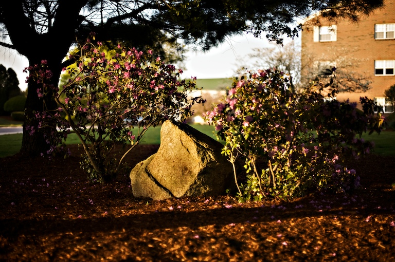 1323 - Stone's Oasis