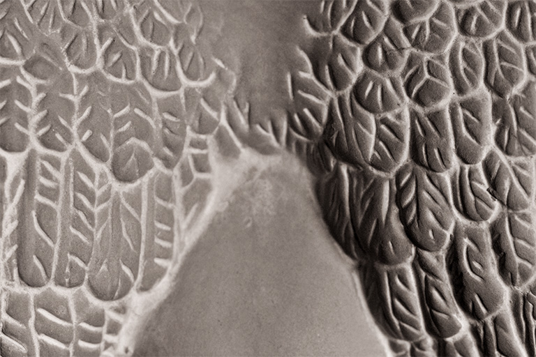 200 - Stone Feathers