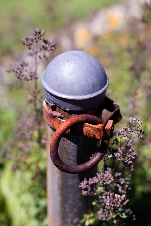 707 - Saturday Afternoon Post