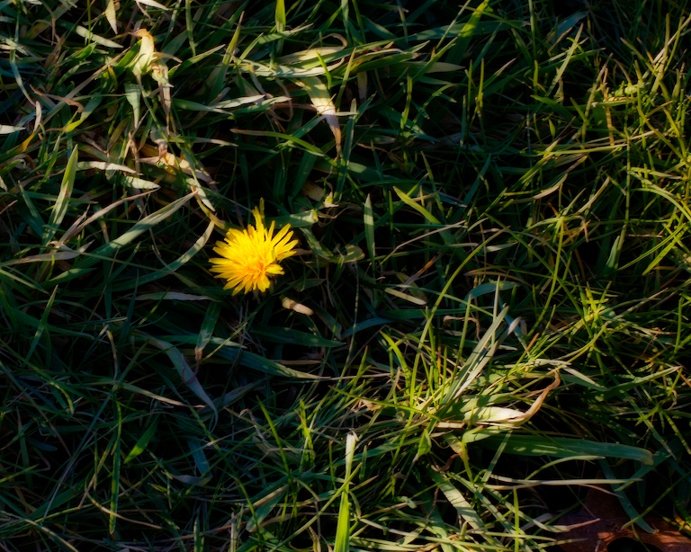 835 - Strange Season