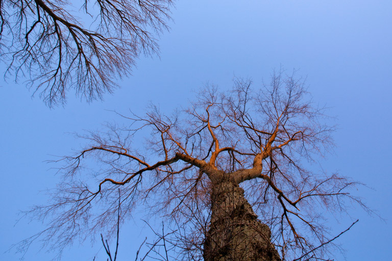 518 - Stretch for Sunlight