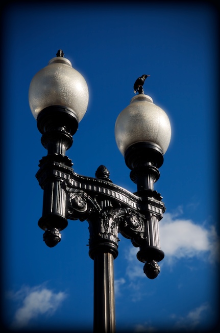 1239 - Sitting On Top of the World