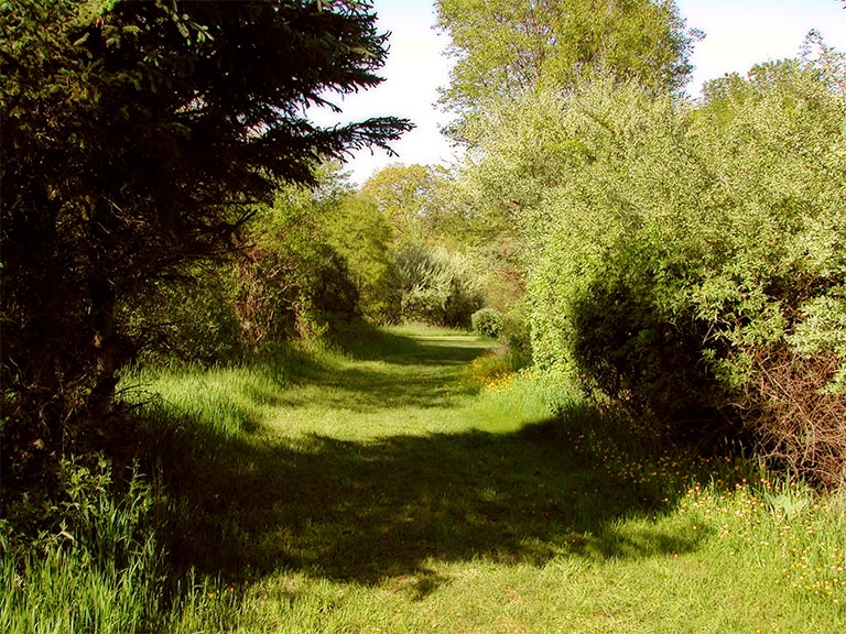 136 - Summer Retreat