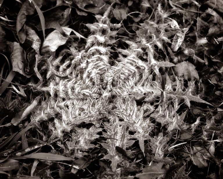 858 - Tactile Treachery