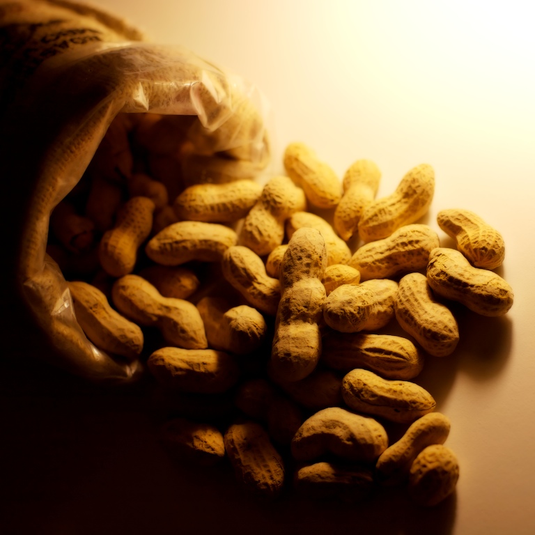 832 - The Goodness Within