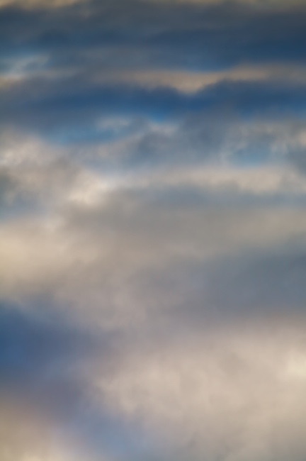 1260 - Thought Cotton