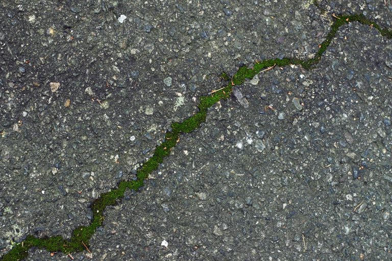 25 - Thin Green Line