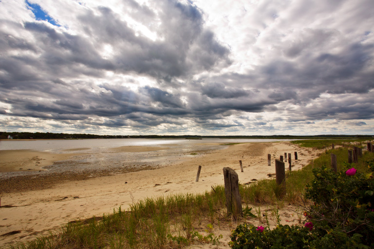 642 - The Marshy Beach