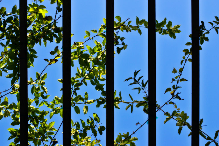 484 - Things Are Looking Up