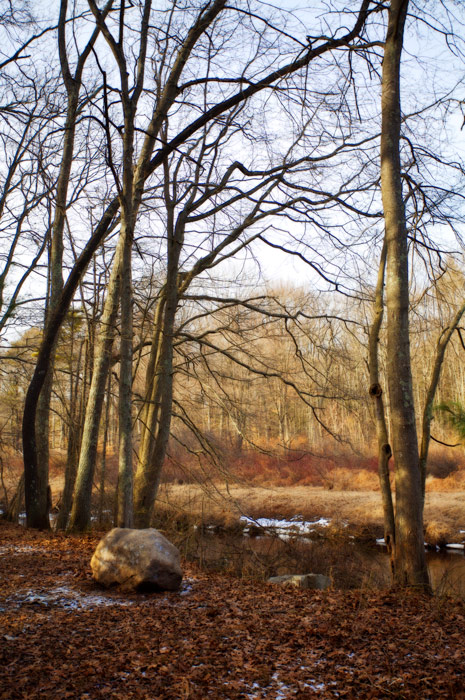 891 - The Rock in Context