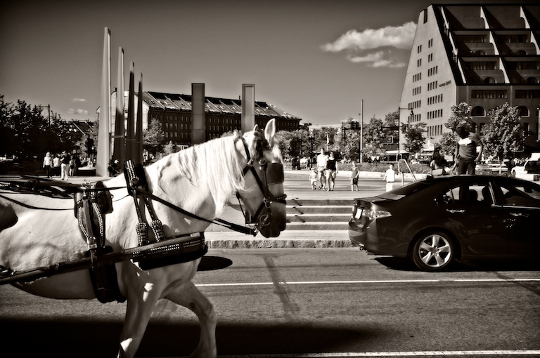 1439 - Typical Tourist Traffic