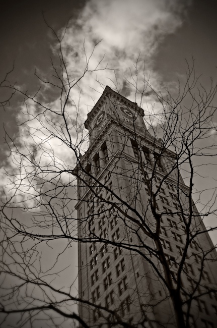 1245 - Tree and Tower