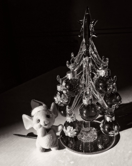 3146 - Turning the Page