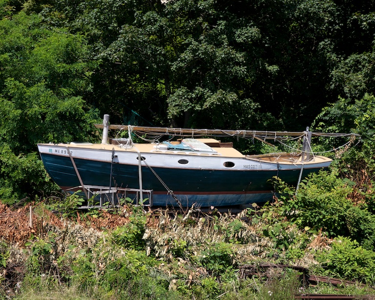 2970 - To Sail the Forest Green