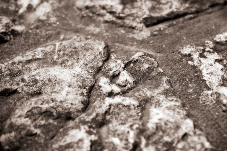 732 - To Touch the Past