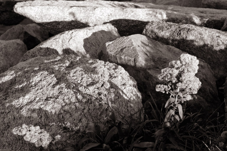 431 - Twixt Land and Sea