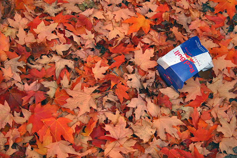 44 - Urban Still Life