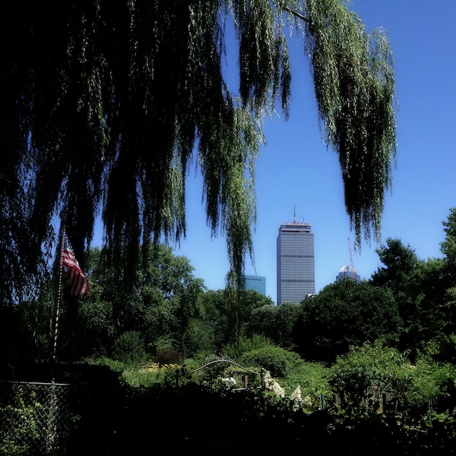 2965 - Verdant and Verticals