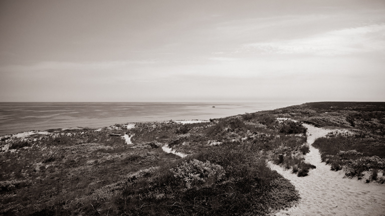 991 - Over the Bluff