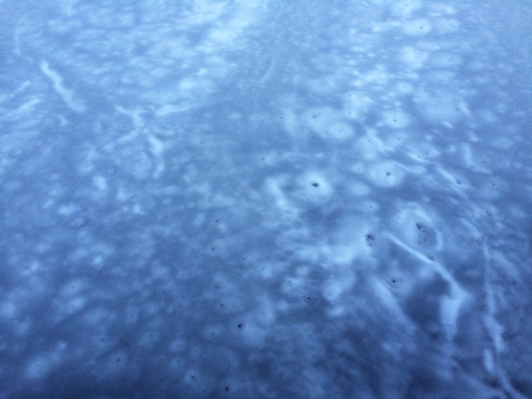 3064 - What Moves Beneath