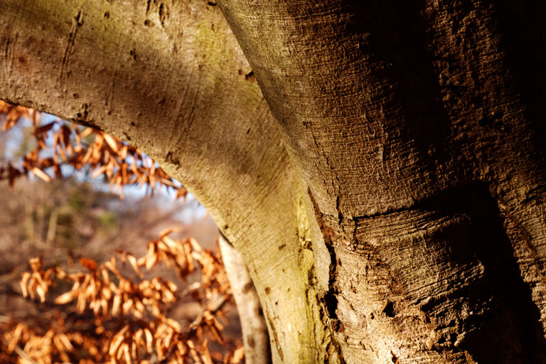 797 - Warming the Worn