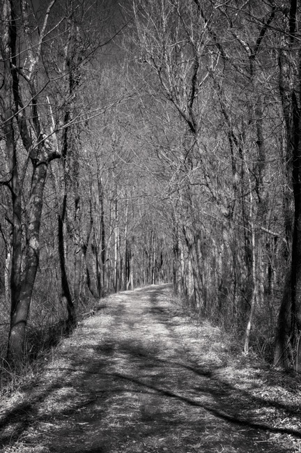 903 - Worth Revisiting