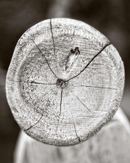 3123 - Weathered End