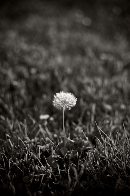 1320 - Waiting on a Breeze